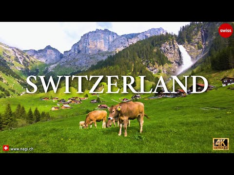 💦🐄🚠 Stäubifall - A Beautiful Place in Switzerland Where Cows Meet Waterfall