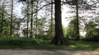 Up to you by Emma Forman