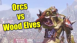 Orcs vs Wood Elves (Week 8) Crendorian Blood Bowl Season 16
