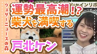 【戸北美月】柴犬を見て「うあー」とか「へあー」とかいう顔になるみーちゃん【ウェザ森】ウェザーニュースの森【切り抜き】