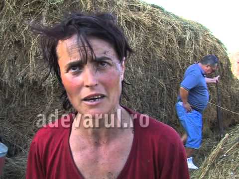 incendiu dambroca sageata piroman buzau