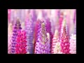 Юлия Савичева - скажи мне что такое любовь 