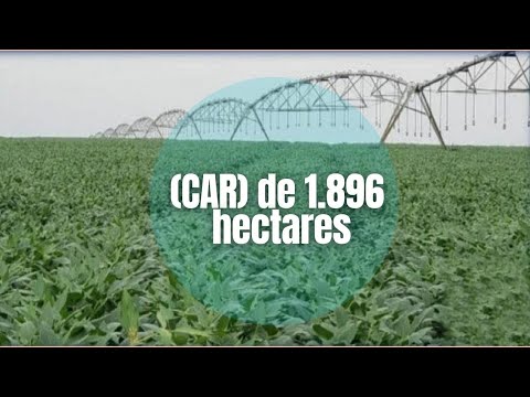 MARAVILHOSA Fazenda a Venda em Balsas com 5 984 hectares  / MA