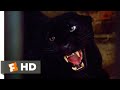 Cat People 1982 Vicious Leopard Scene 3 10 Movieclips