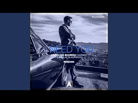 I Need You (DubVision Remix)