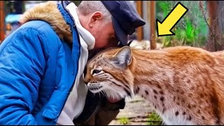 Hunter Saved Dying Pregnant Bobcat. Year Later He Heard a Cry That Brought Him to Tears