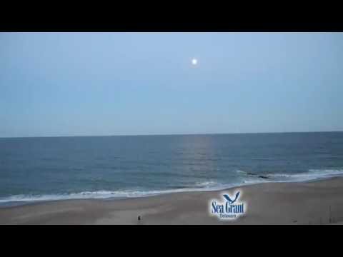 15 Second Science - What is your watershed address?