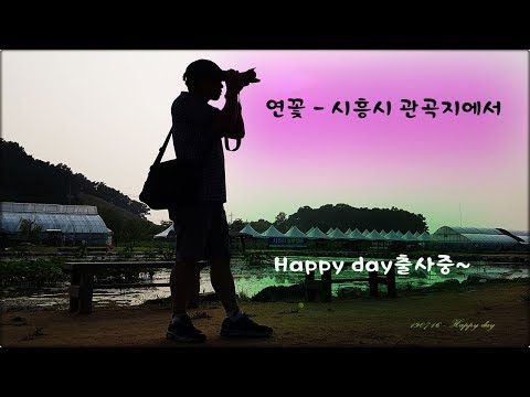 연꽃축제 - 관곡지에서...190716