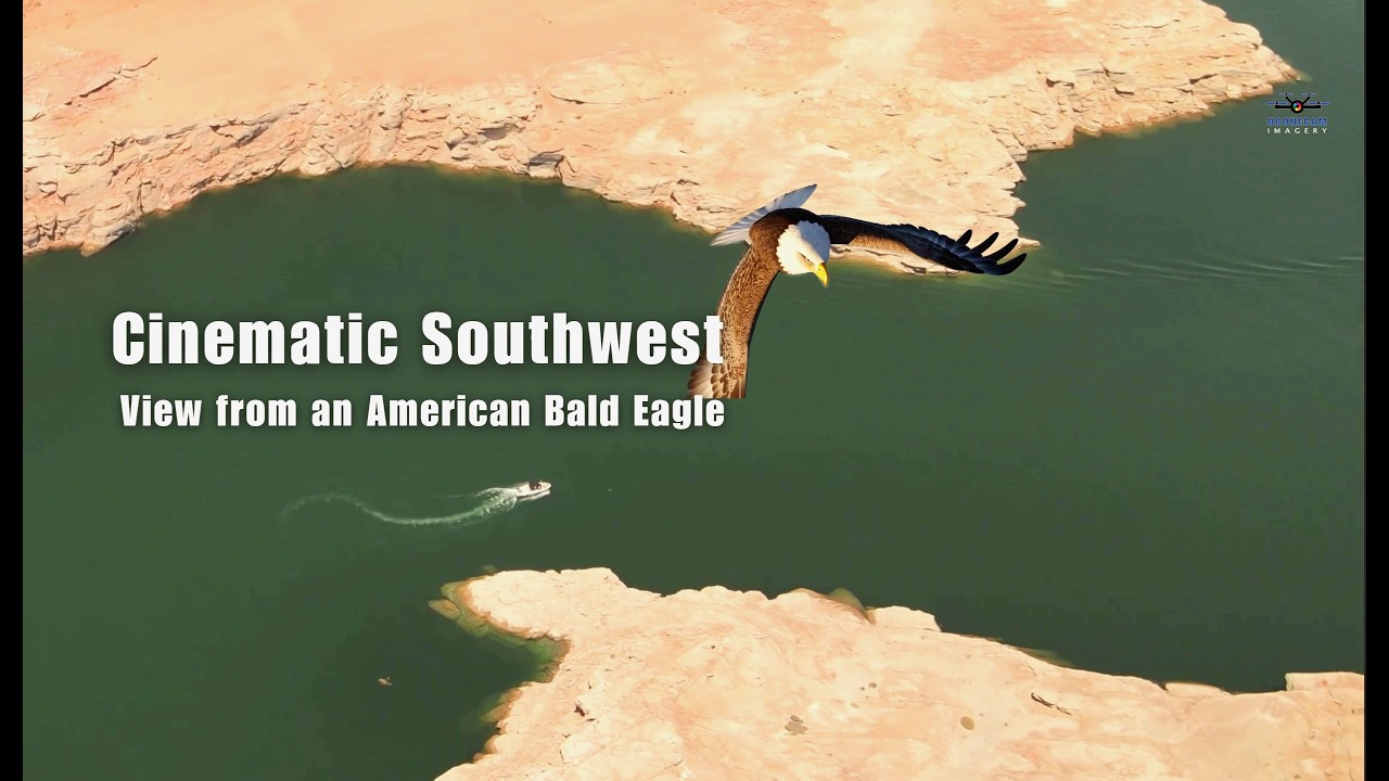 Scenic Southwest view from a Bald Eagle