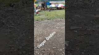 Download lagu Habitat Jalak Suren Jawa #ngulahanpark #pecintaburung #Burung Liar AVIARY TERBESAR di dunia mp3 Download lagu Habitat Jalak Suren Jawa #ngulahanpark #pecintaburung #Burung Liar AVIARY TERBESAR di dunia mp3