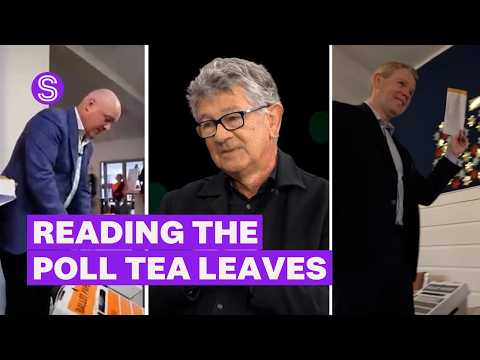 Thumbnail for How to read the poll tea-leaves as election just days away | Stuff.co.nz