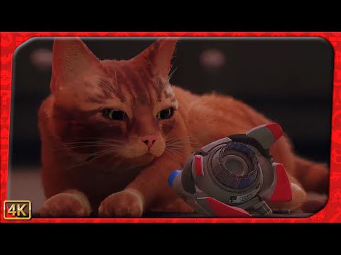 Stray ⁴ᴷ Full Playthrough