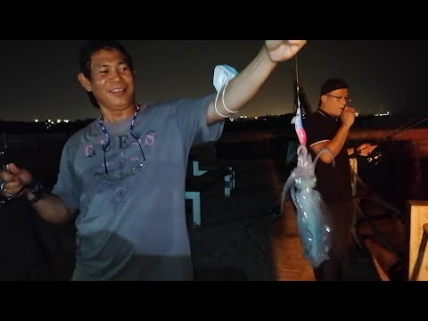Shore Fishing with Bunch of Fishing Addicts, Mangrove Snapper & Squid, Catch and Cook