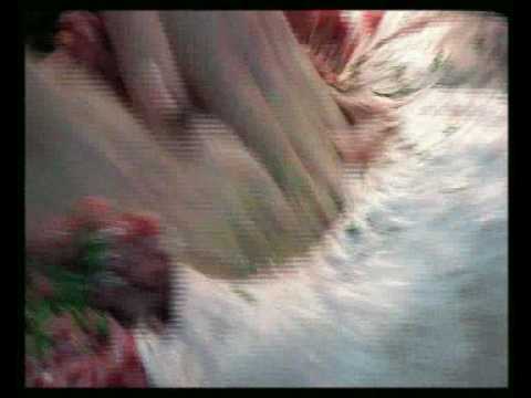 036 Fleischerei Fachgeschäft Göpp 0000 w 77 divx