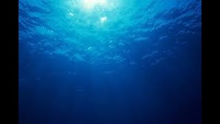 深海天国/堂村璃羽　歌ってみた