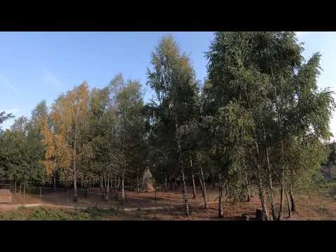 Pensiunea Casa Noastra 1