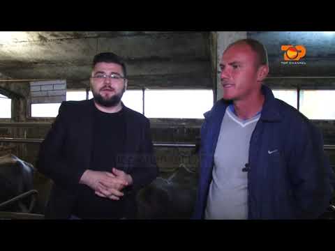 Ne Shtepine Tone, 1 Nentor 2016, Pjesa 1 - Top Channel Albania - Entertainment Show