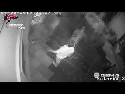 LUCERA | Sparatoria tra la gente, i responsabili incastrati dalle telecamere: tre arresti