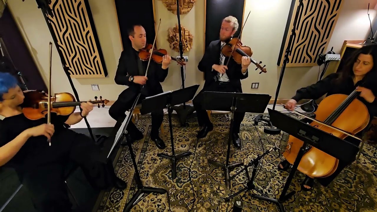 Promotional video thumbnail 1 for Sonorous Strings