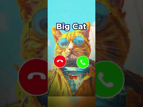 new ringtone 💫 and cat funny calling 😀