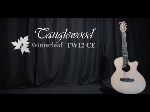 Tanglewood TW12-CE Winterleaf 12-String Orchestra with Electronics 2020 - Present - Natural Satin image 9