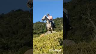 As Caowgirl. rs