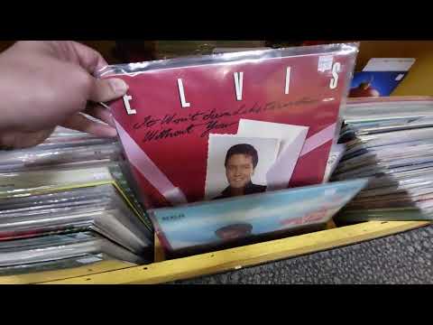 NEW ARRIVALS BINS - Record Collectors Paradise - December 26, 2025