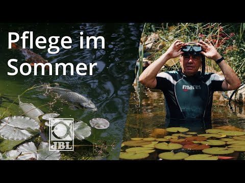JBL TV #78 Teichpflege im Sommer - Das musst du beachten