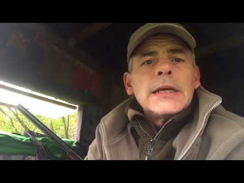 Der Tipp von Jäger zu Jäger / Jagdhunde Krankenversicherung