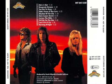 Survivor ~ 80's AOR & Melodic Rock Music