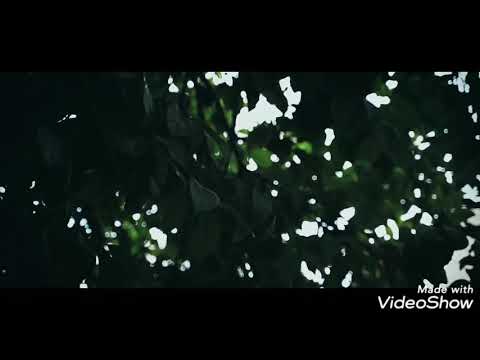 Rubén Delallana - Diabla Malvada (letra/lyrics)