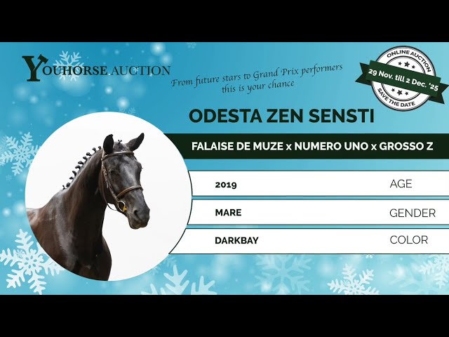 Odesta Zen Senti showvideo outdoor