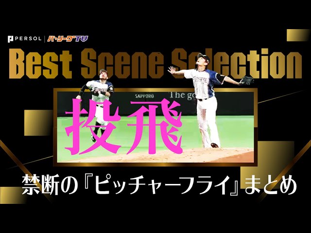 《Best Scene Selection》捕球後の微妙な空気…禁断の『ピッチャーフライ』まとめ