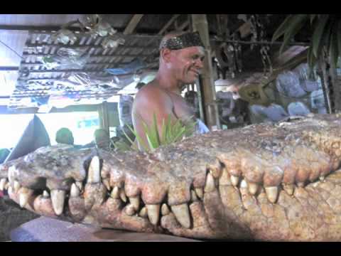 Pocho the crocodile funeral in Costa Rica