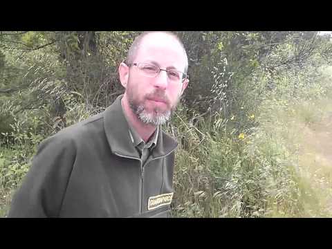 Antica Via Clodia - Parco Marturanum