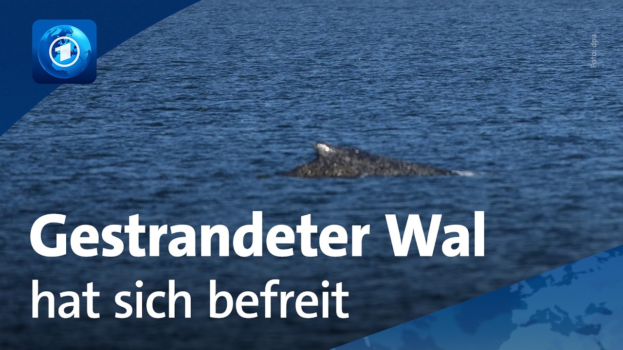 Wie die Rettungsaktion weitergeht