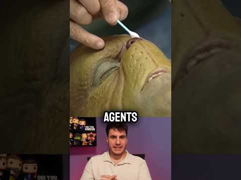 Jim Carrey trained with CIA Agents to play The Grinch #howthegrinchstolechristmas #thegrinch