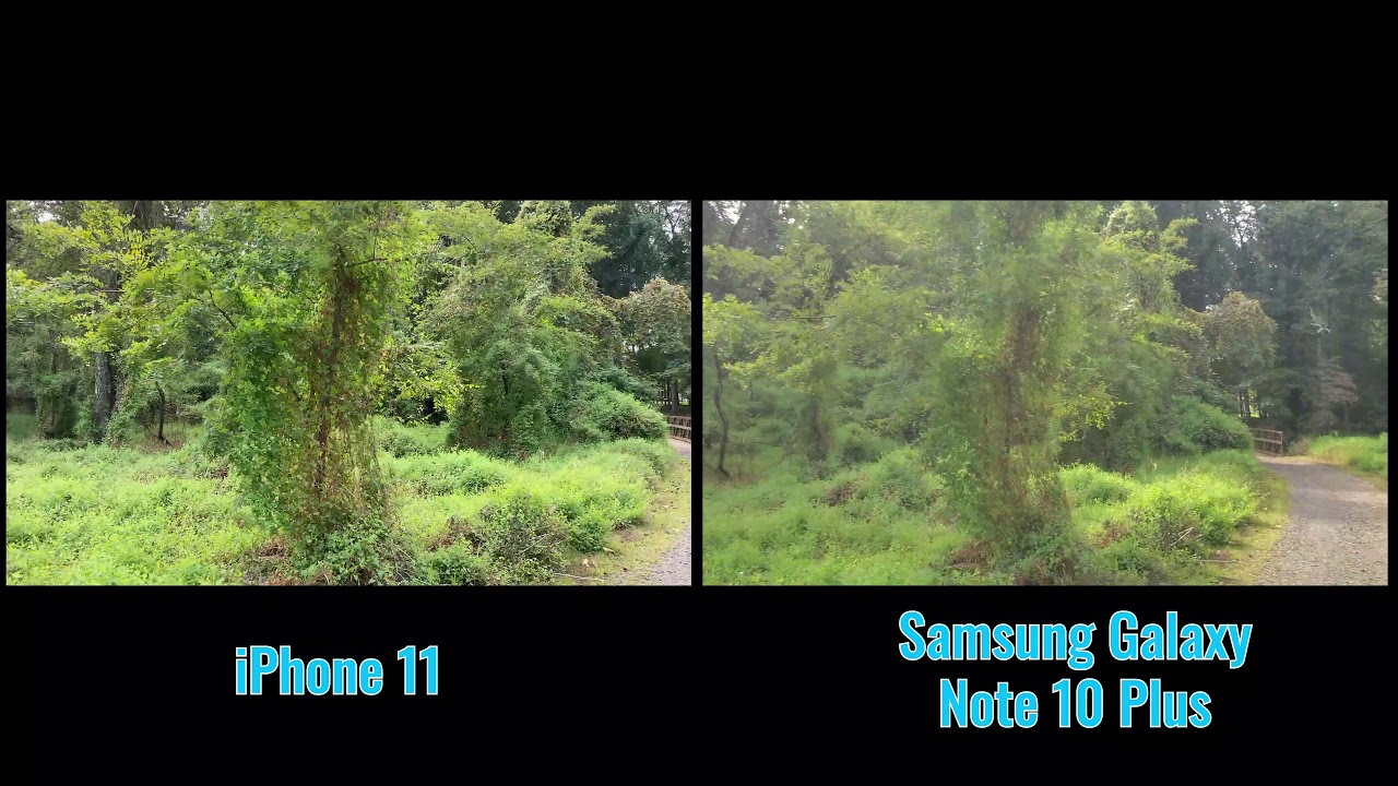 iPhone 11 vs. Galaxy Note 10 Plus: Sample Video - YouTube