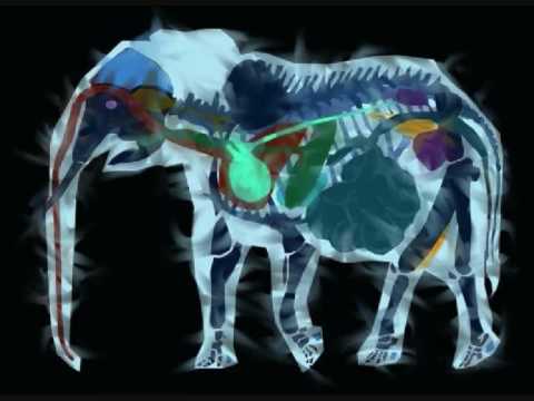 Thox and Kaliz DJ collective_4 - House Music Edit