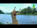 Ab Tere Dil Mein Hum Aa Gaye Aarzoo 1999 HD Eagle Jhankar Alka Yagnik Kumar Sanu Mp4