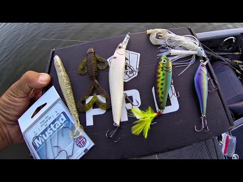 Mtb Pro Box Late Summer Tidal River Bass Fishing James River Virginia Play Mtb Pro Box Late Summer Tidal River Bass Fishing James River Virginia Play