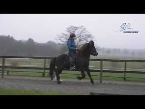 Gletting vom Kronshof (V: Teigur vom Kronshof)