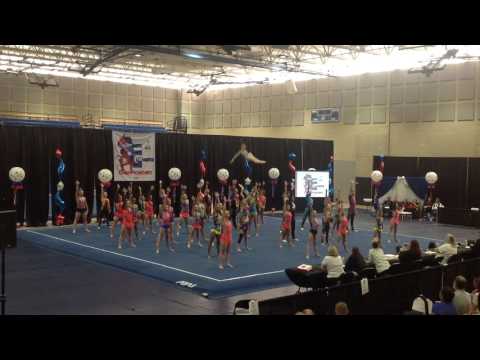 Elite Routine Regionals 2017