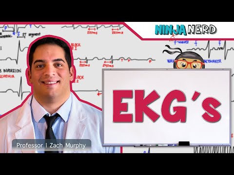 Cardiovascular | ECG's