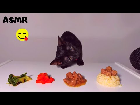 Kitten eating broccoli, carrot, rice, wet food ASMR - YouTube