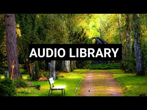 FREE COPYRIGHT SAFE MUSIC New Space Ship Creative Commons Royalty Safe