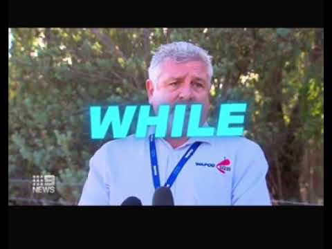 Cot In My Studio - Vinsins