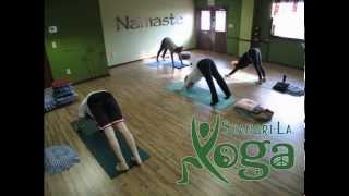 preview picture of video 'Yoga_Studio_in_Pa_17565'