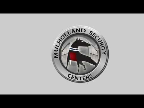 Apartment Building Cameras | Mulholland Security Los Angeles 1.800.562.5770