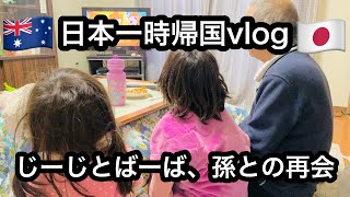 【日本一時帰国vlog】じーじとばーばに会いに行く✈️温泉が大好きなハーフっ子&じーじとばーばの爆裂日本語に固まるも、だんだん慣れてきた3歳児🇯🇵🇦🇺2026年4月日本一時帰国Part1